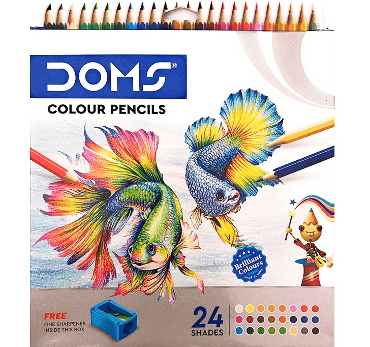 Buy DOMS Colour Pencil (24 Shades)