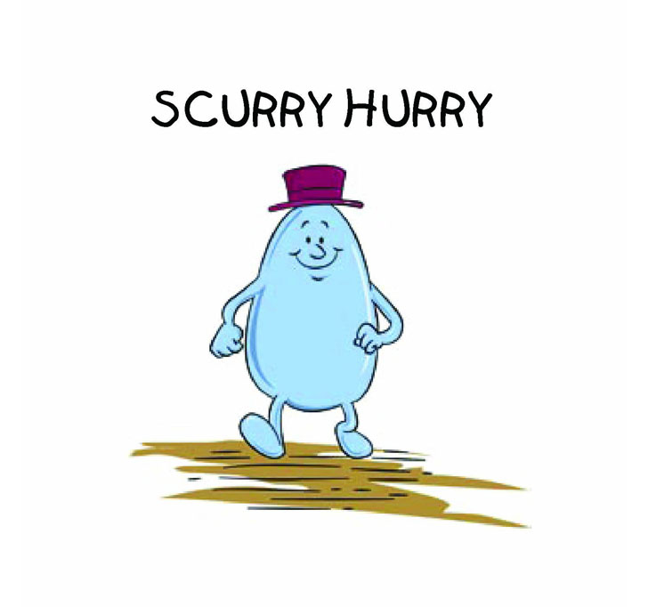Buy Scurry Hurry: 1 (Gita Nath Stories)