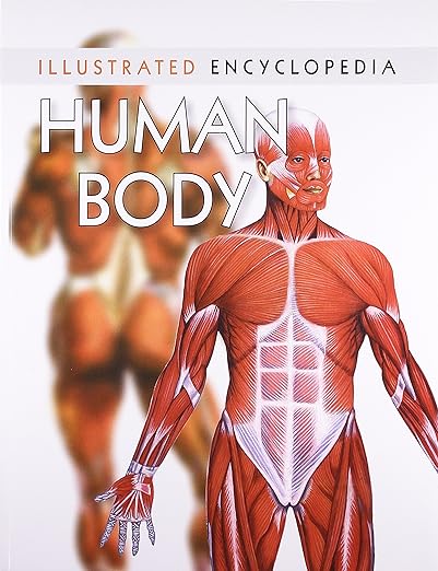 Buy Human Body: 1 (Illustrated Encyclopedia)