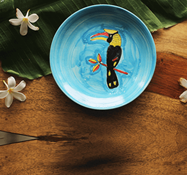 Buy Asian Hornbill Bird Wall Plate