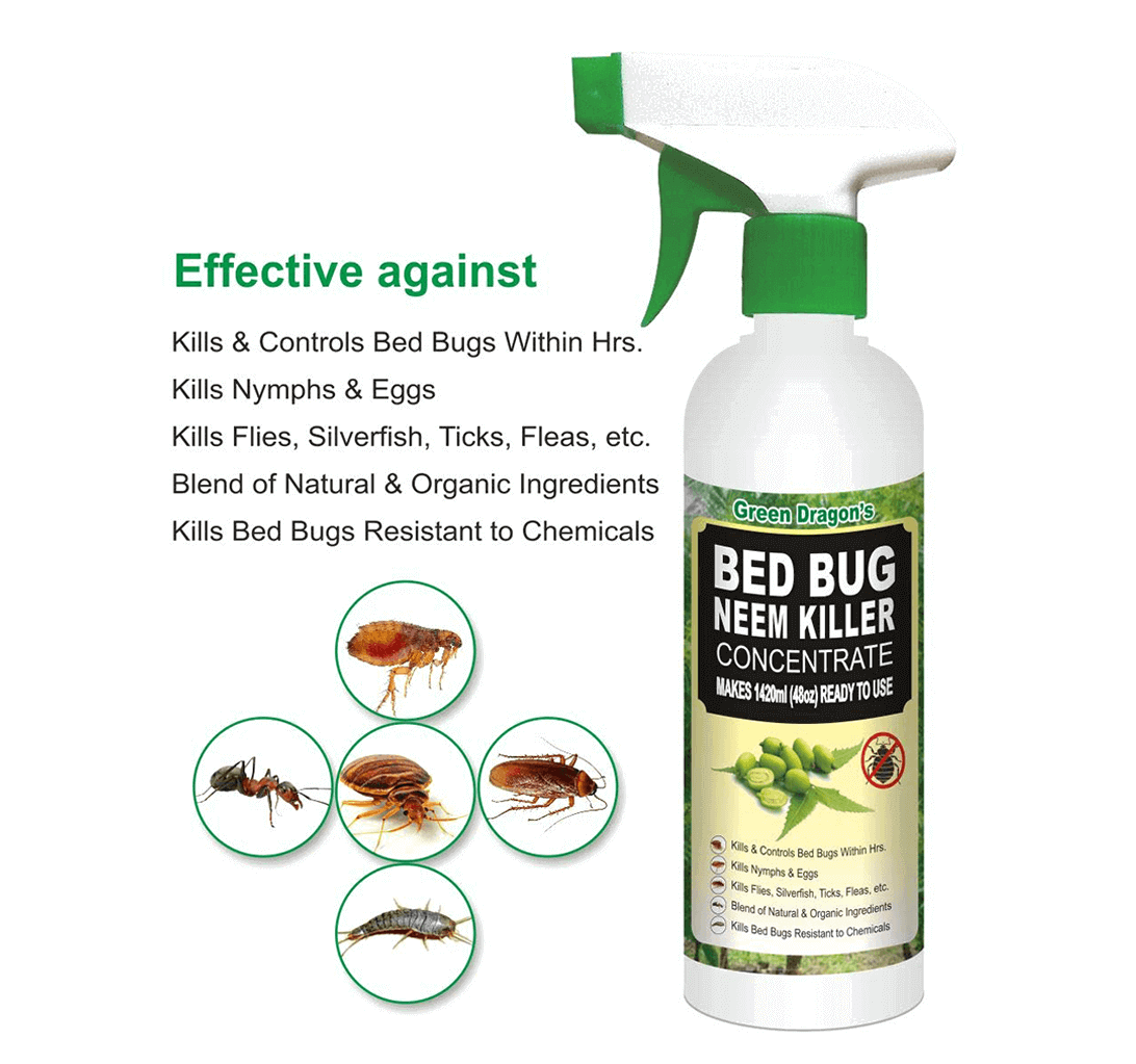 Buy Green Dragon's Bed Bug Neem Killer Concentrate 1420ml