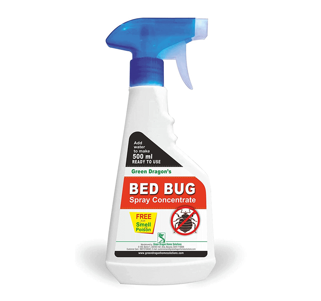 Buy Green Dragon's Bed Bug Spray Concentrate (Pack Of 3) 1.5L