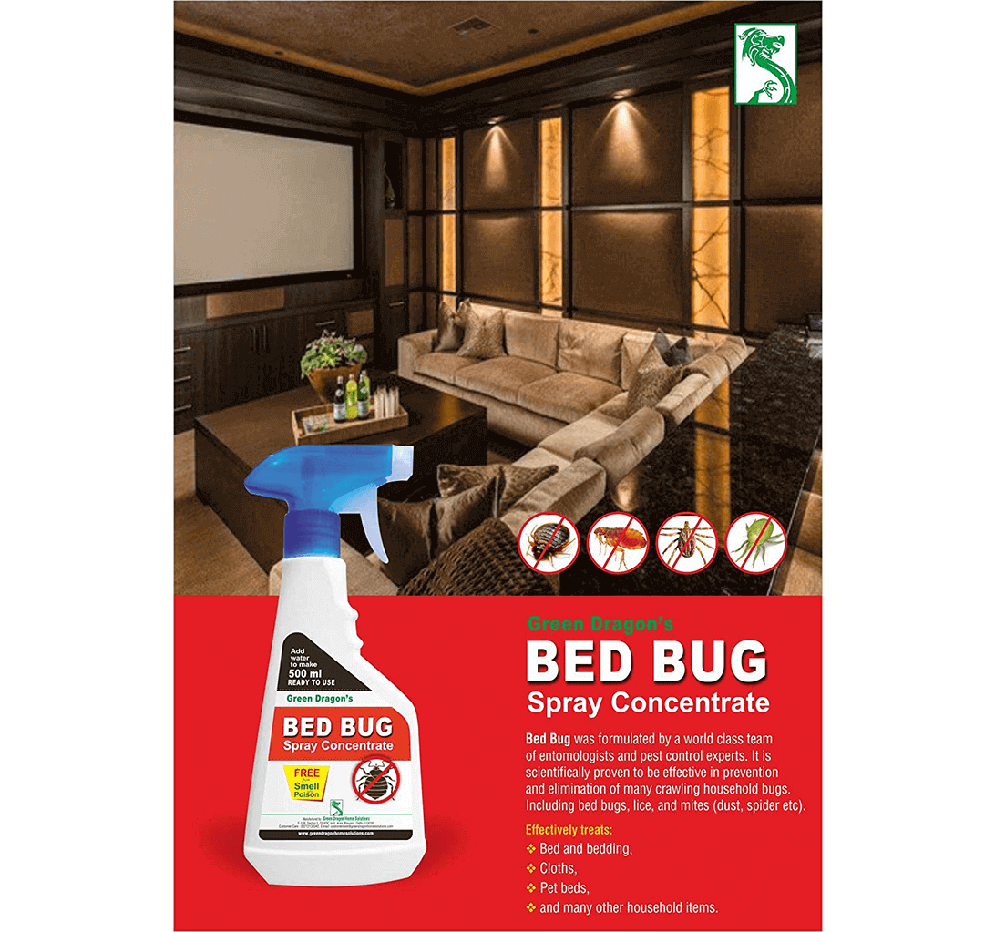 Buy Green Dragon's Bed Bug Spray Concentrate (Pack Of 3) 1.5L