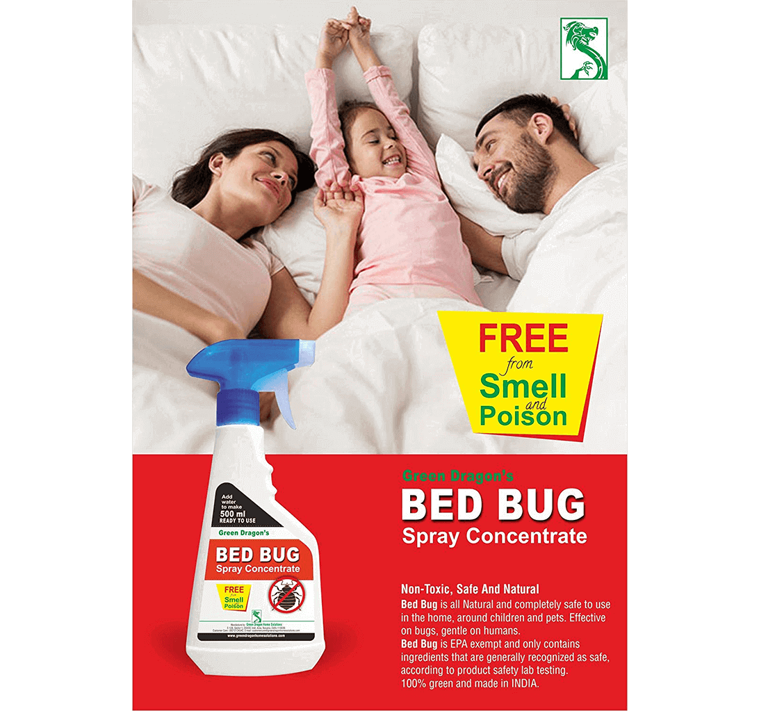 Buy Green Dragon's Bed Bug Spray Concentrate (Pack Of 3) 1.5L