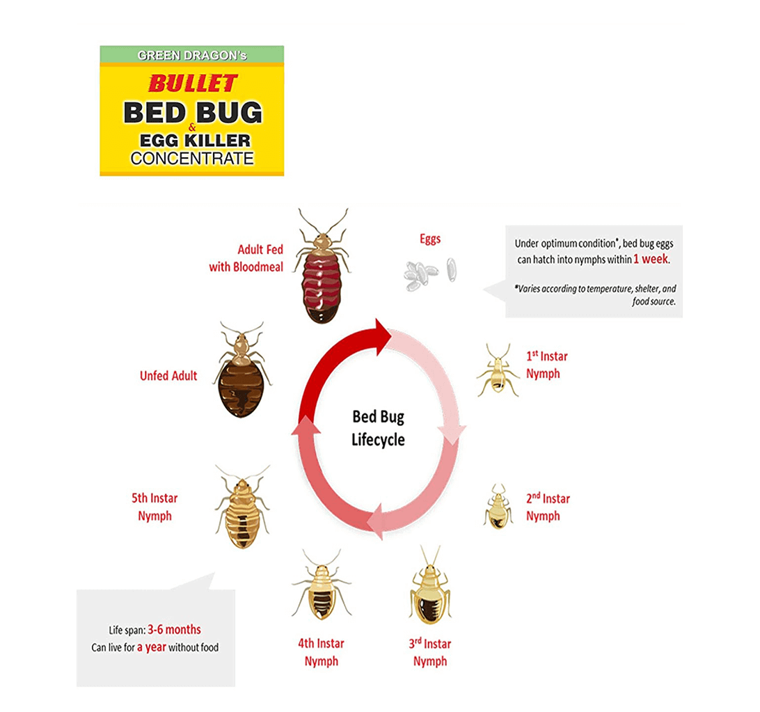Buy Green Dragon's Bullet Bed Bug Egg Killer - 1500 Ml