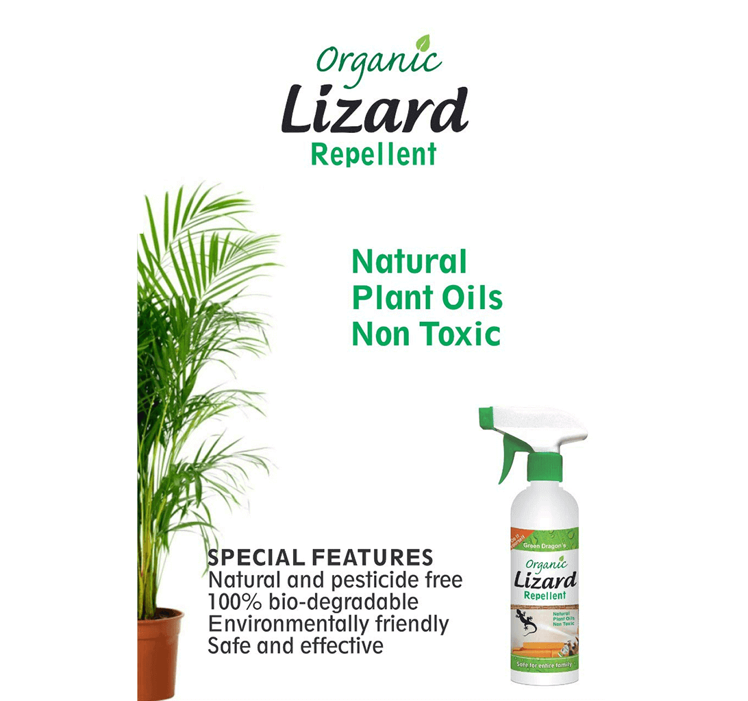 Buy Green Dragon's Organic Lizard Repellent - 500 Ml