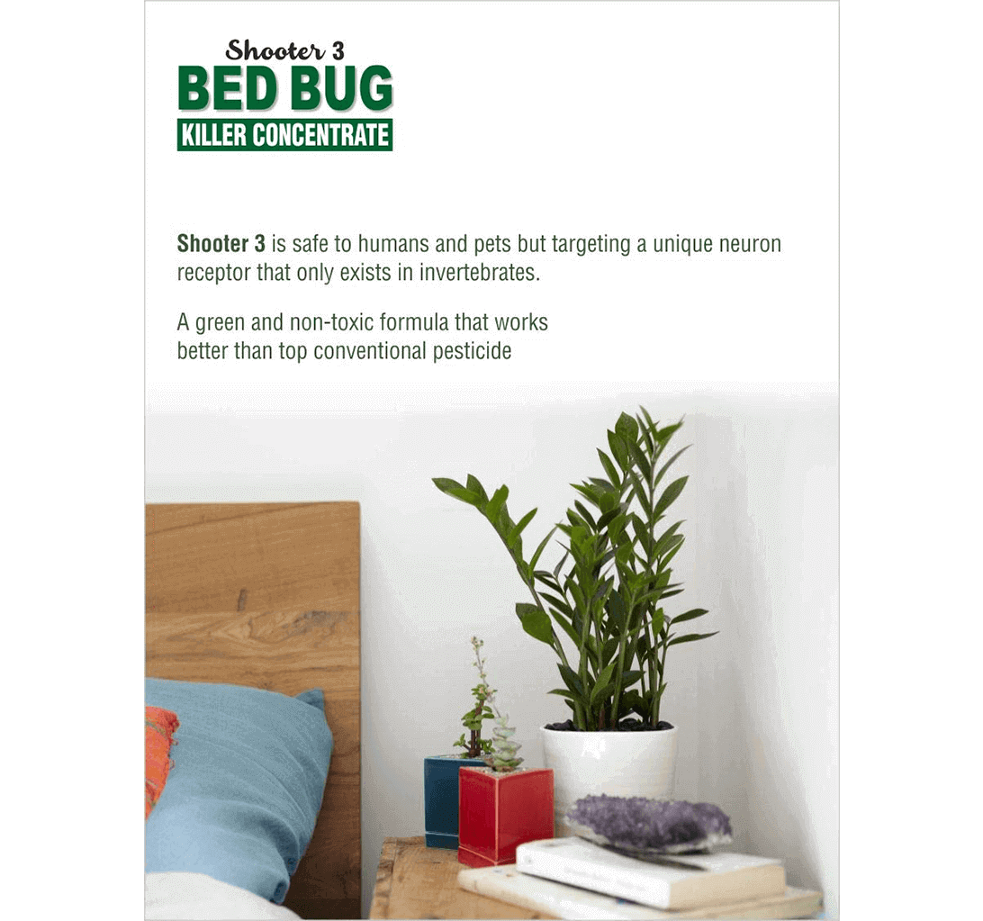 Buy Green Dragon's Shooter 3 Bed Bug Killer Concentrate - 1800ml