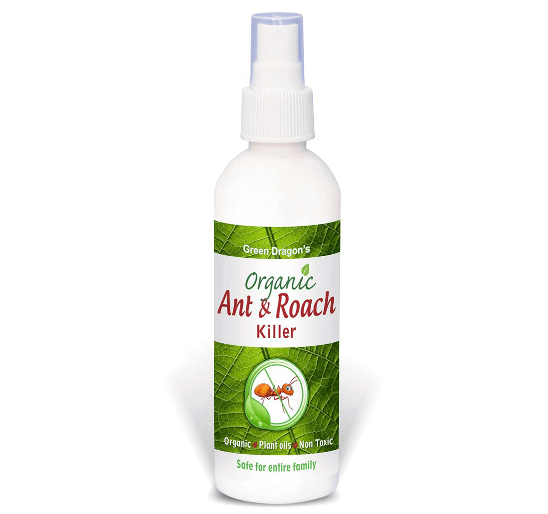 Buy Green Dragon's Organic Ant And Roach Killer