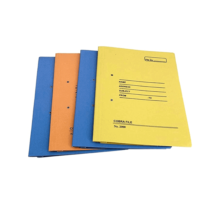 Buy Cobra File (Multicolor Spring File)