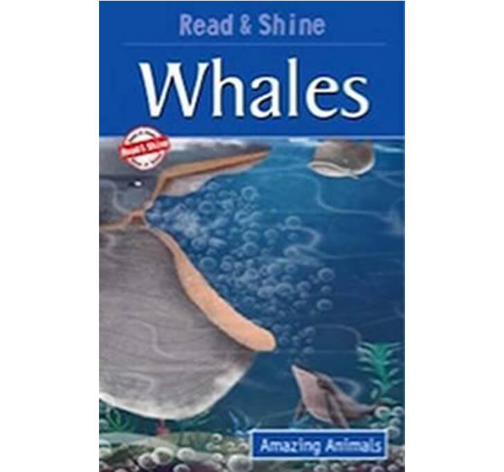 Buy Whales