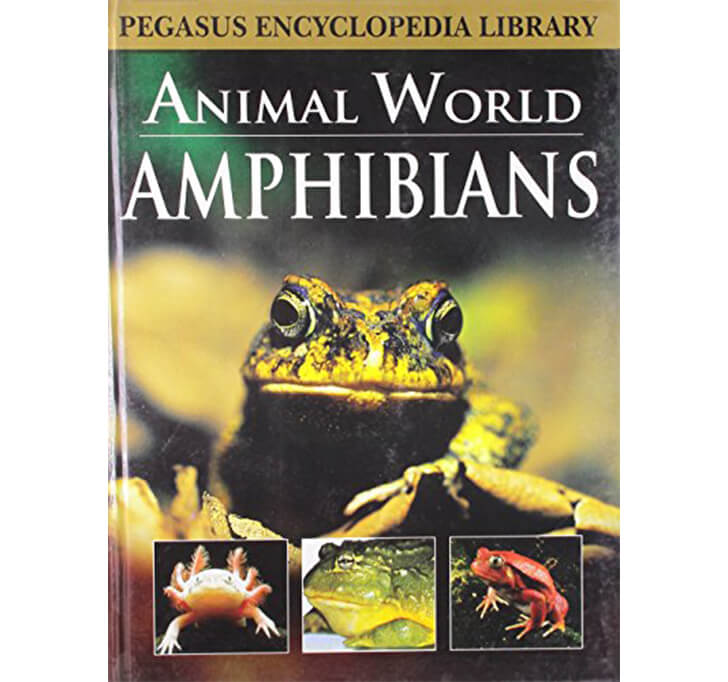 Buy Amphibians