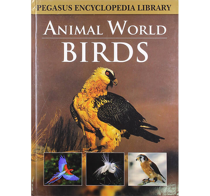 Buy Birds