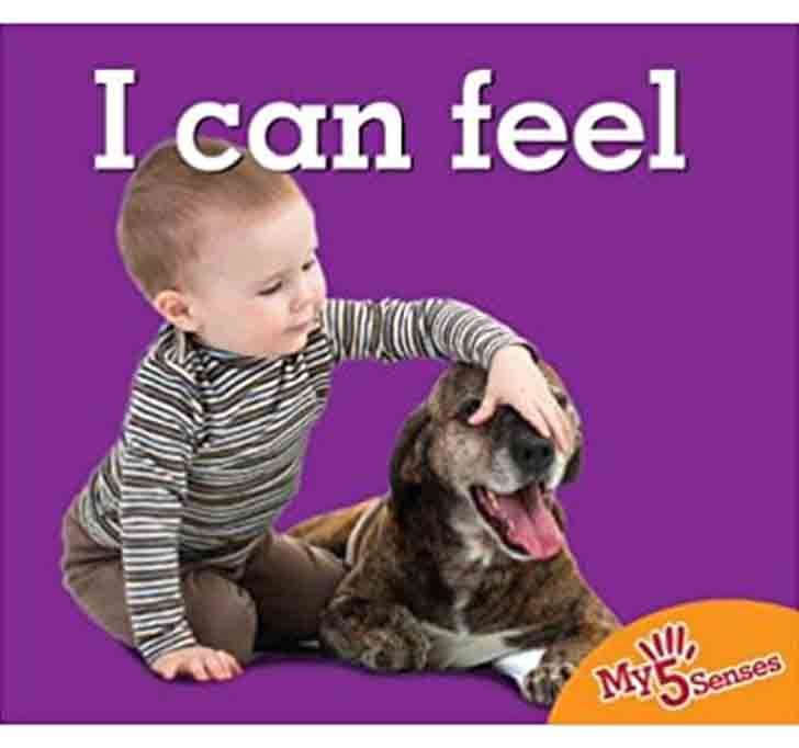 Buy I Can Feel Board Book