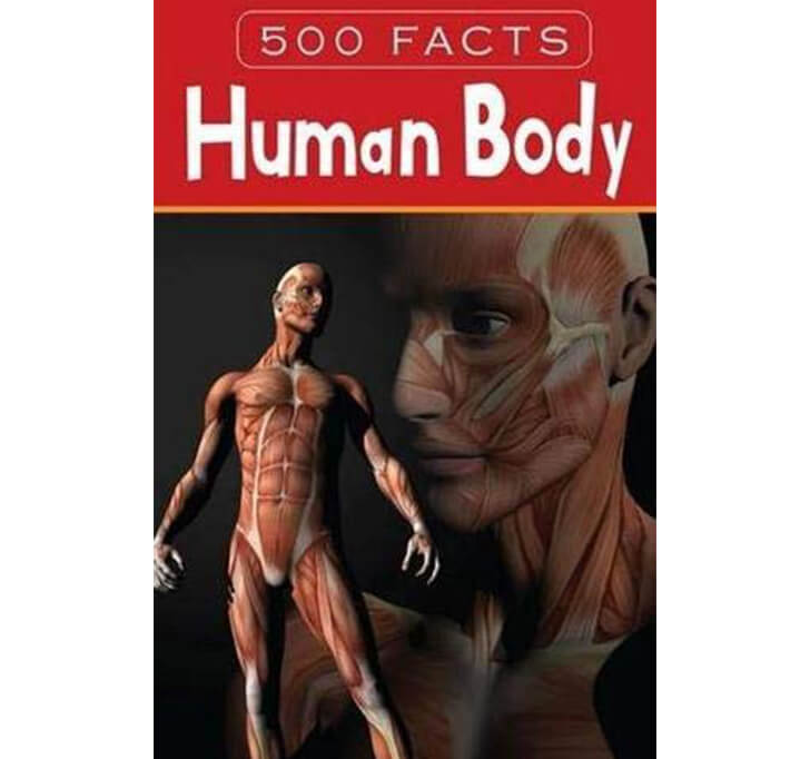Buy Human Body - 500 Facts