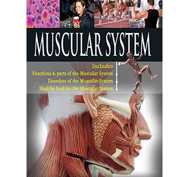 Buy Muscles & Cells: 1 (Human Body)